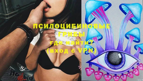 мяу мяу мука Аркадак